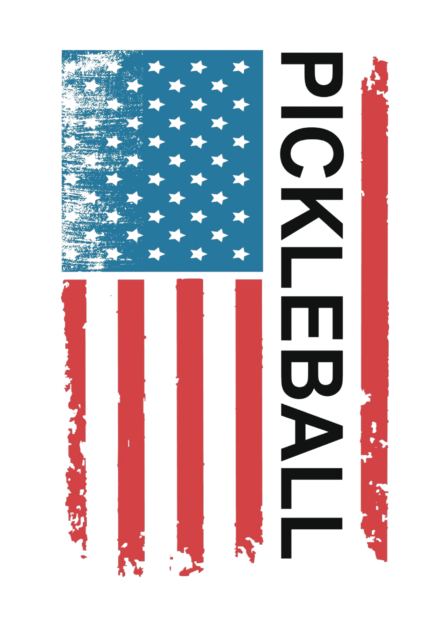 Pickleball American Flag