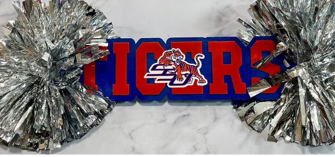 Cheer Stick