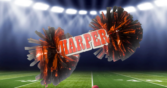Cheer Stick